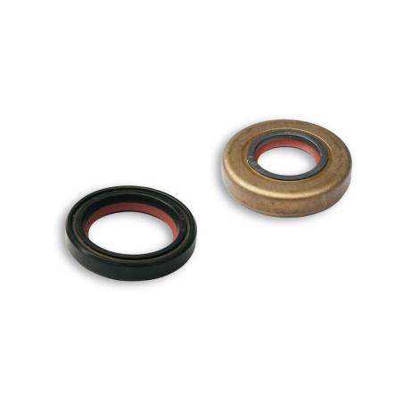 MALOSSI 6615756 : Juego de retenes de aceite MALOSSI FKM / PTFE - Minarelli AM6