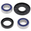 ALL BALLS 25-1075 : Kit rodamientos de rueda All Balls 25-1075