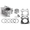 AIRSAL 02048558 : Kit Airsal Big Bore 150cc PCX / SH 125 02048558 Ø58mm