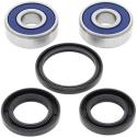 ALL BALLS 25-1319 : Kit rodamientos de rueda All Balls 25-1319