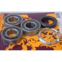 PIVOT WORKS PWRWK-H02-520 : Kit de rodamientos y retenes de rueda trasera PIVOT WORKS