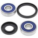 ALL BALLS 25-1316 : Kit rodamientos de rueda All Balls 25-1316