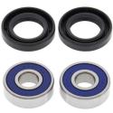 ALL BALLS 25-1172 : Kit rodamientos de rueda All Balls 25-1172