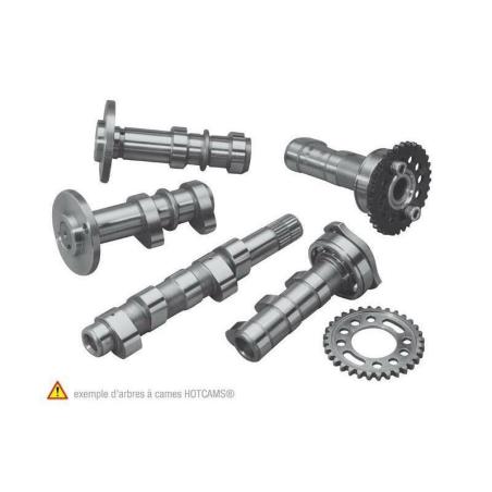 HOT CAMS HC00061 : Arbol de levas HOT CAMS - Stage 2 Yamaha WR450F
