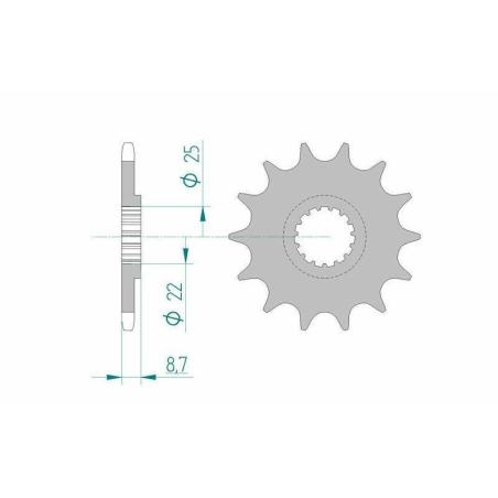 AFAM 73301+12 : Piñón AFAM acero autolimpiable 73301 - Paso 520