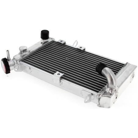 BIHR 425-2665 : Radiador Bihr SV650S/N 99-02