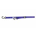 BIHR L27-004B1 : Correas con hebilla  BIHR azul