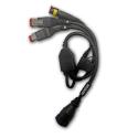 TEXA 3909520 : Cable diagnosis TEXA Harley Davidson desde 2000 (3151/AP57)