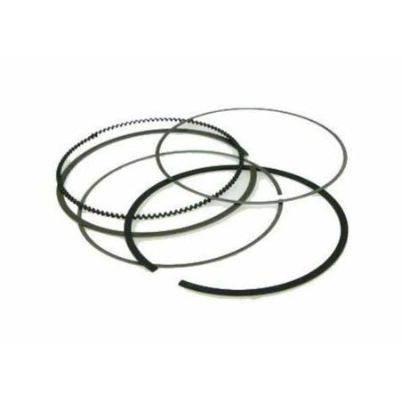 VERTEX 53008004700 : Segmento Vertex