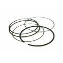 VERTEX 590387000002 : Segmento Vertex