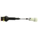 TEXA 3901198 : Cable diagnosis TEXA HONDA genérico (3151/AP20)