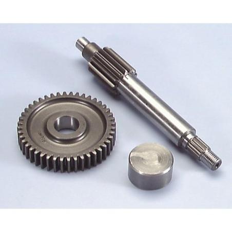 POLINI 202.1370 : Desarrollo engranaje primario Polini Minarelli Yamaha 13/44