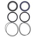 ALL BALLS 25-1616 : Kit All Balls de rodamientos y retenes de rueda