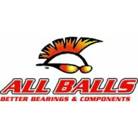 ALL BALLS 25-2066-5 : Kit de rodamientos diferencial All Balls 25-2066-5