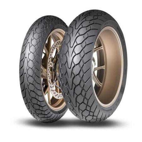 DUNLOP 637280 : Neumático DUNLOP MUTANT 160/60 ZR 17 M/C (69W) TL M+S