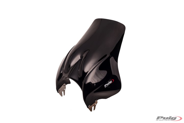 Ветровое стекло XJR 1300